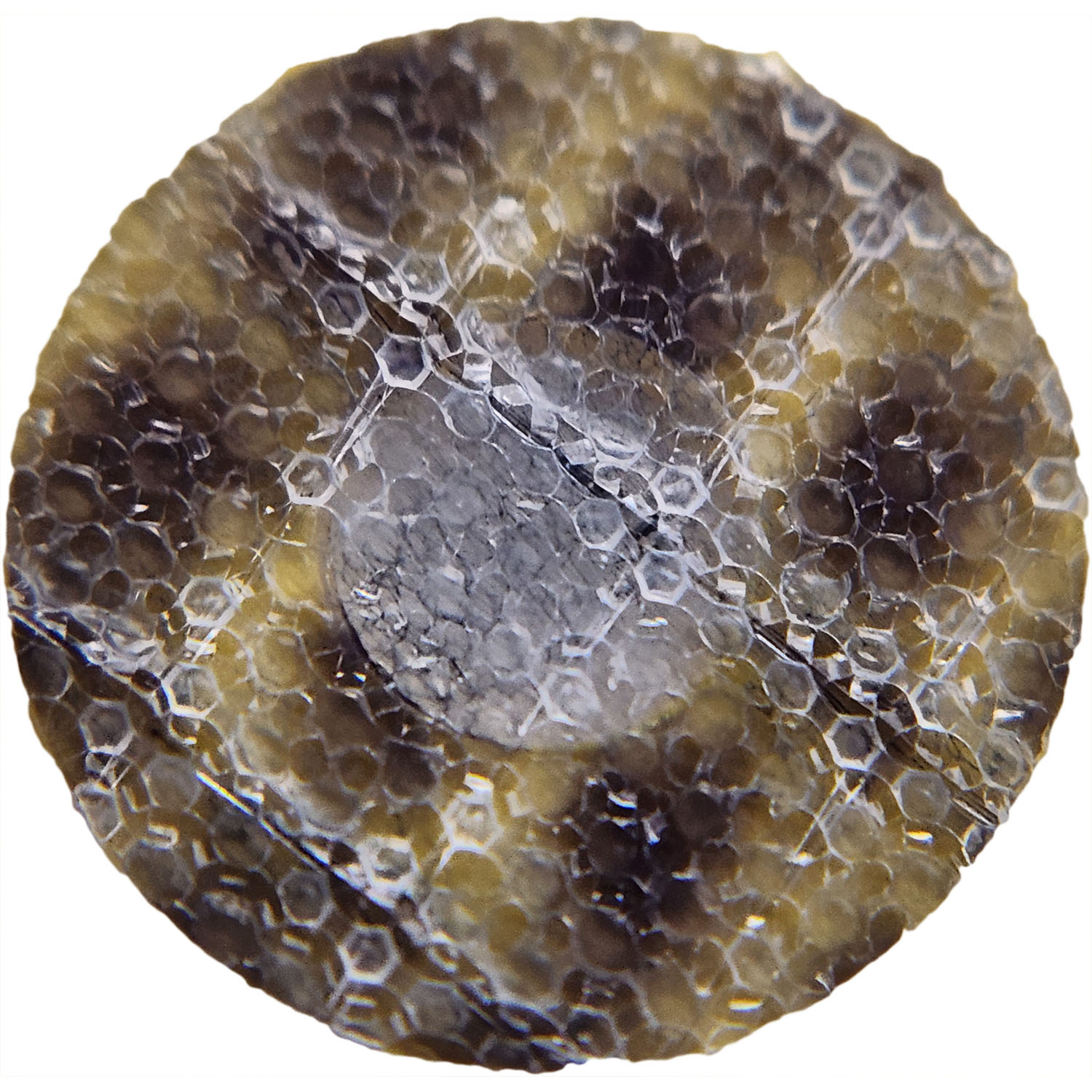 Icom 8930042350 Microphone Mesh Screen for IC-F4, IC-A4, IC-F3GS, IC-F4GT, IC-F21, IC-F21S, IC-V8, IC-F24 Radios