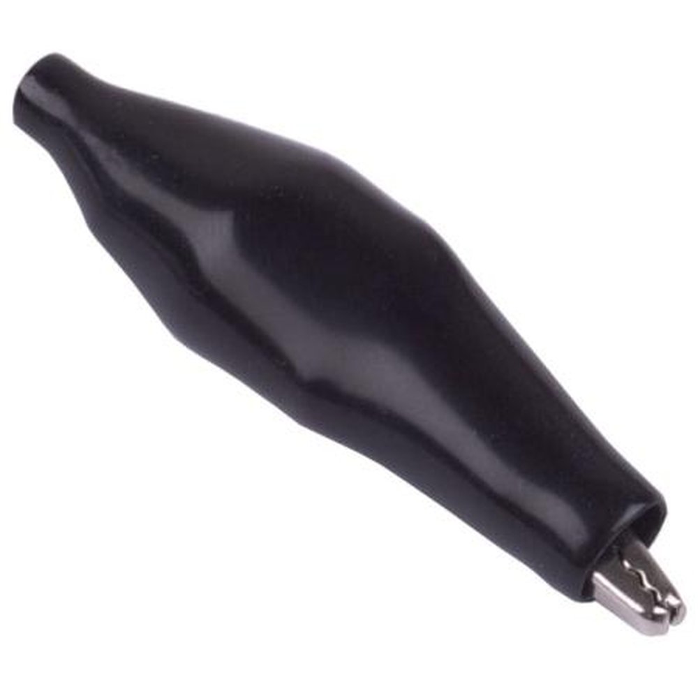 ALLIGATOR - Front view