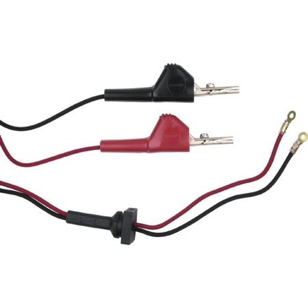 P3080009 - Front view